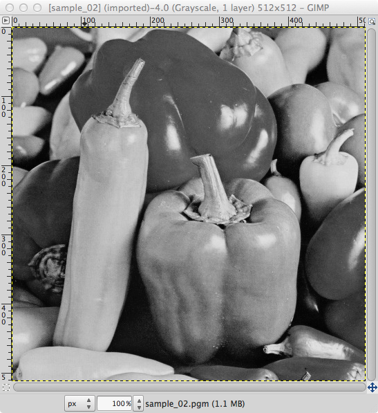sample image
